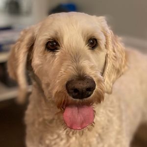 Meet your Posher, Kendra